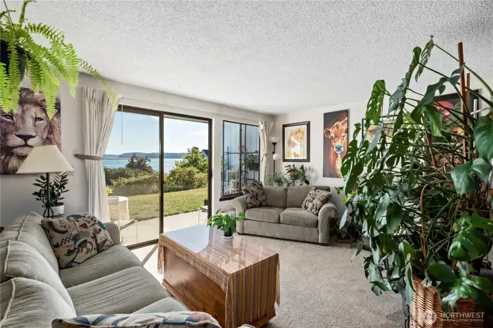 Typical living room in ground floor unit with on grade patio.