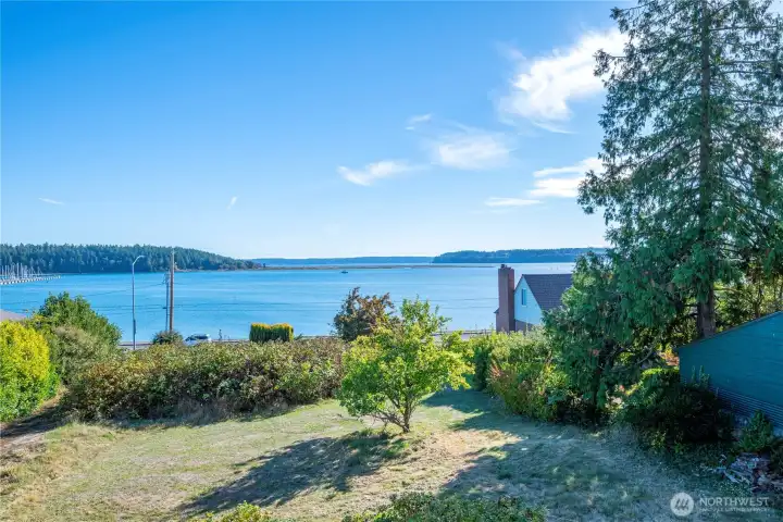 Backyard. View of the bay.