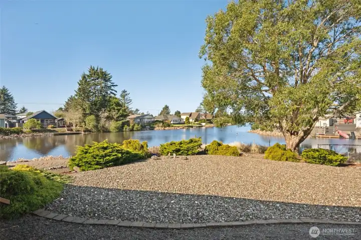 Low maintenance yard for easy upkeep