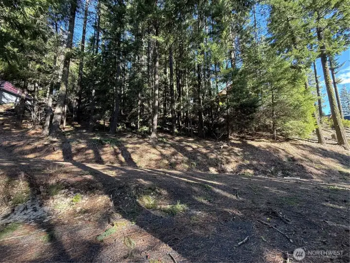 Parcel view from Lake View Drive