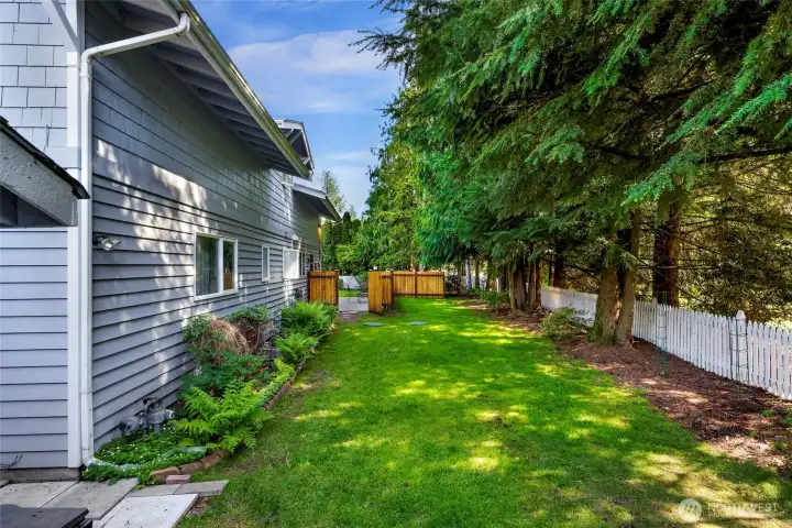 Fenced side yard