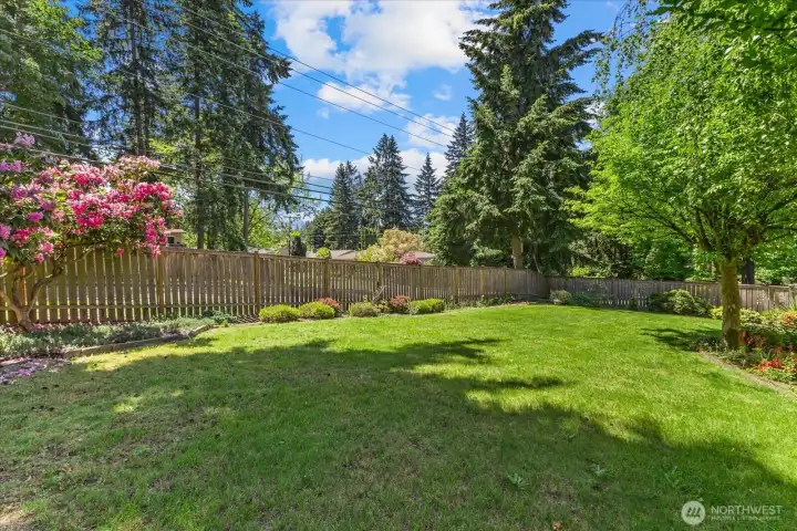 Expansive lawn surrounded by colorful plantings and a garden bed for vegetables Expansive lawn surrounded by colorful plantings and a garden bed for vegetables