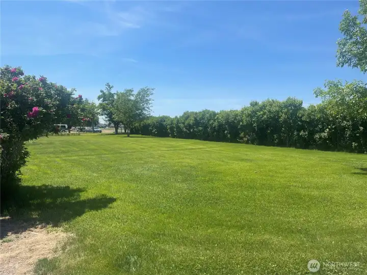 FRONT YARD FROM SIDE OF HOME