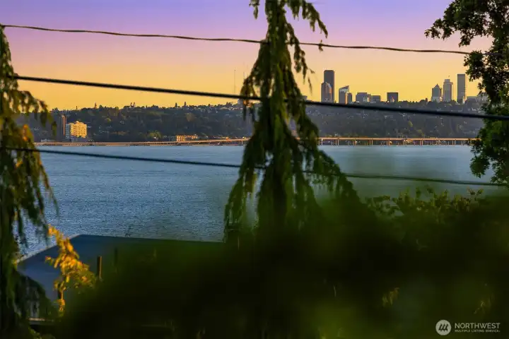 PROTECTED VIEWS of city, mnts, lake, space needle PROTECTED VIEWS of city, mnts, lake, space needle
