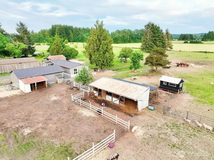 Barn, Chicken Coop & Shelter