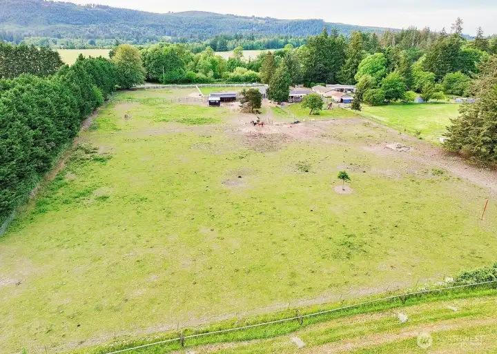 Pasture