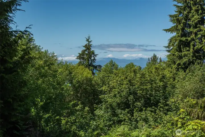 View of Vancouver Is mountains