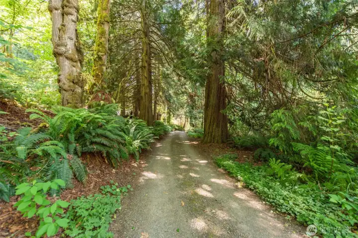 Mowitch Trail