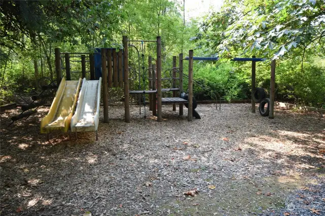 Community Playground