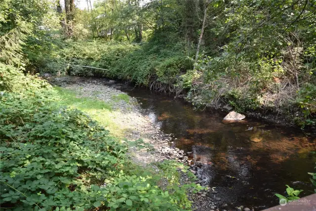 Peaceful Swamp Creek runs just below the property