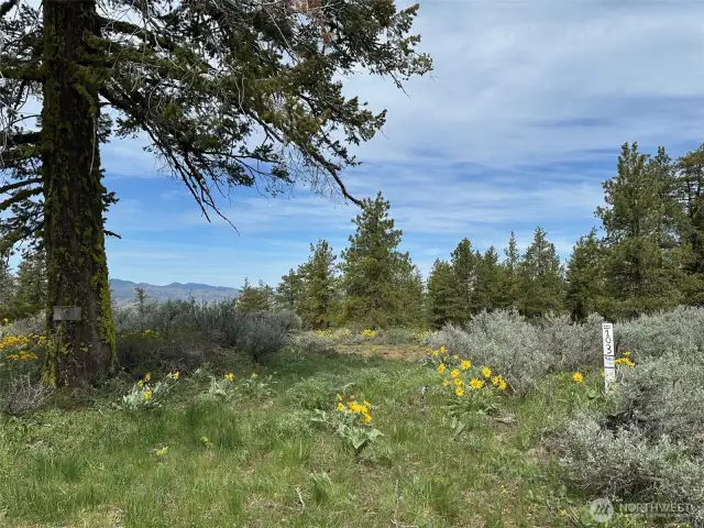 Access to the property