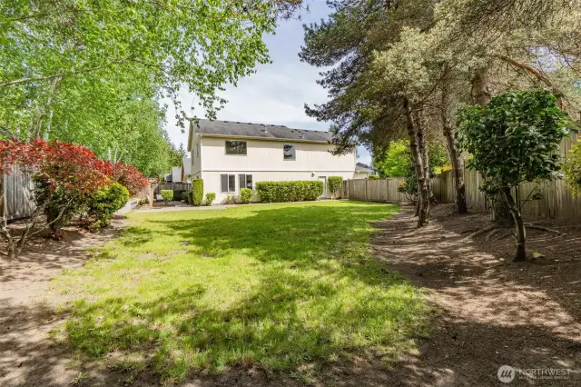 Large Double Lot