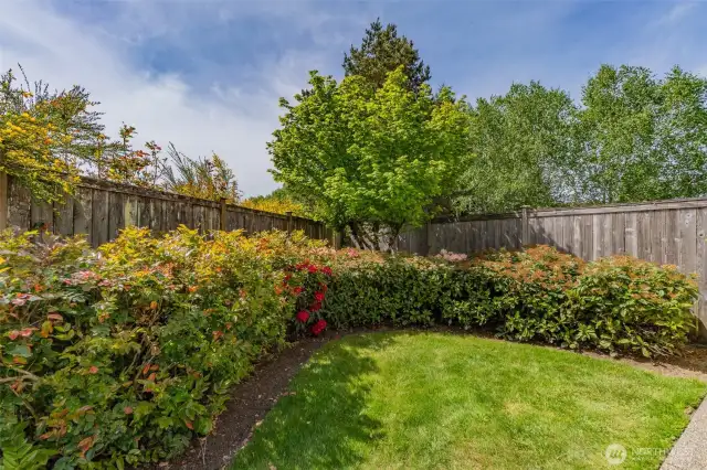 Fully Fenced Backyard