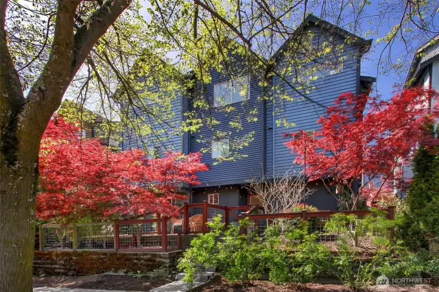 Perfectly nestled between the Alaska and Morgan Junctions, this sweet West Seattle townhome is ready for you!