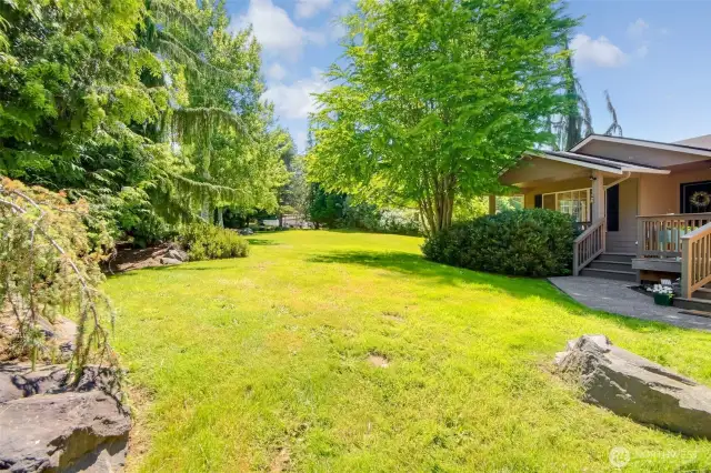 Side yard view