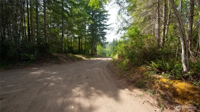 Southern loop driveway to building site.