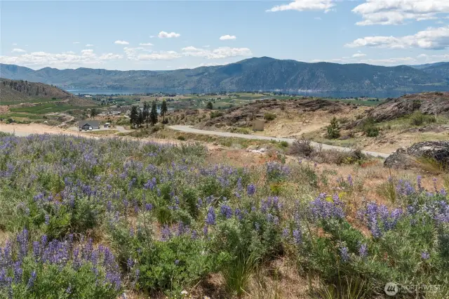Large Flat Parcel with lake views
