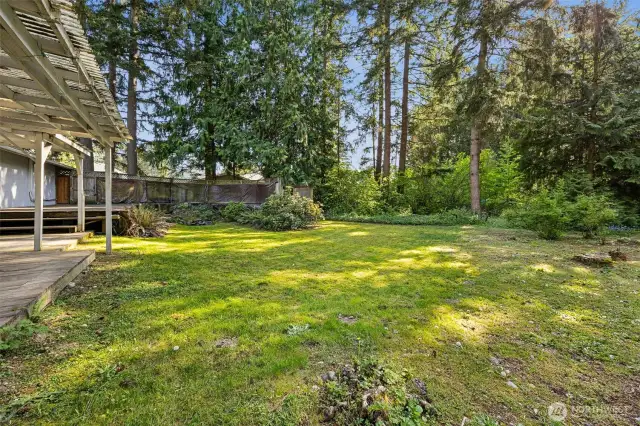 Huge mature landscaping in backyard