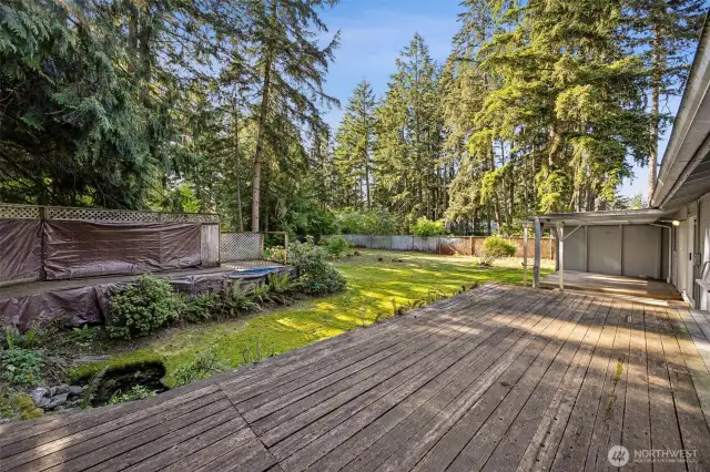 Create your backyard oasis