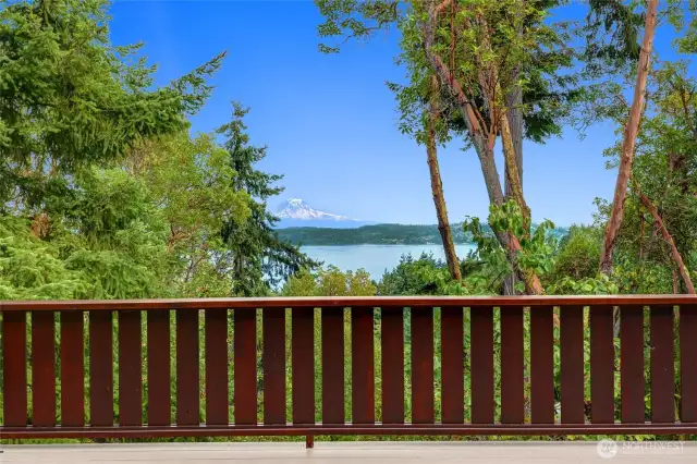 View of Mt Rainier from the deck.