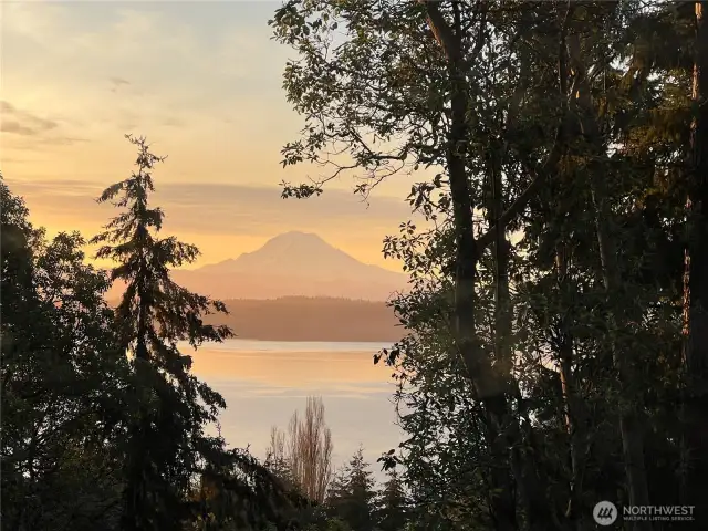 Glorious Mt. Ranier.