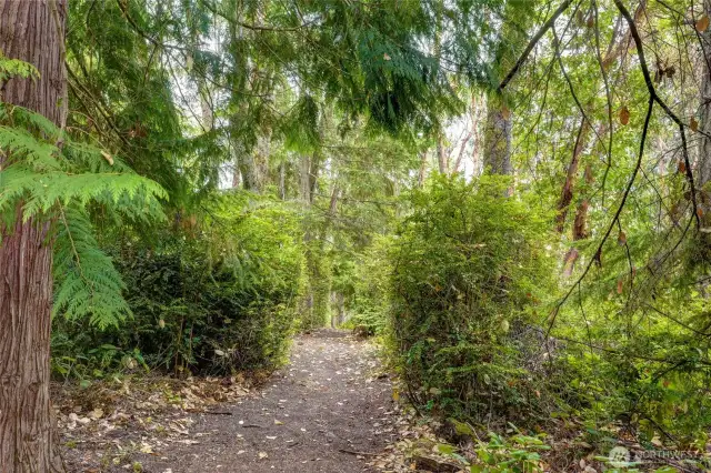 View of the .25mile (round trip) trail to the bottom of the property