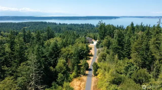Grand driveway to the home