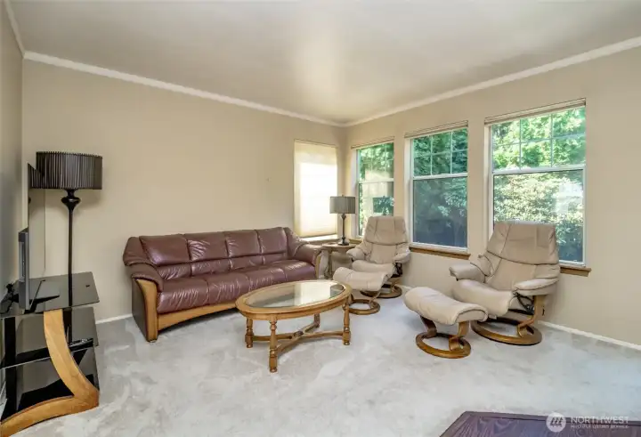 Tv Room