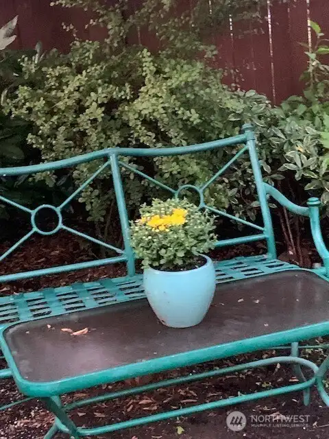 Back Patio