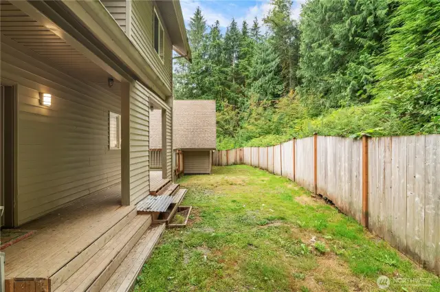 Backyard.