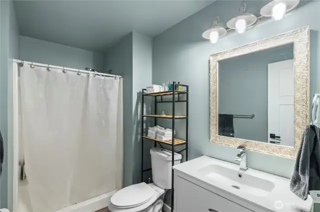 Basement bathroom.