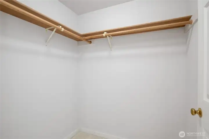 The main floor bedroom also has a spacious walk-in closet.