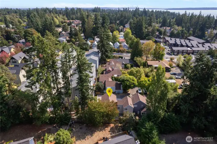 An aerial view of the complex showing its relationship to Madison Avenue.