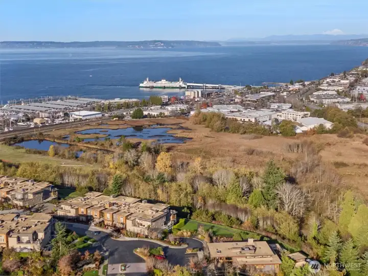 View of the complex looking out over Puget Sound, Mount Baker, the ferries, and the waterfront.