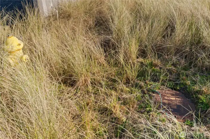 Front Left: Fire Hydrant and Sewer Cover