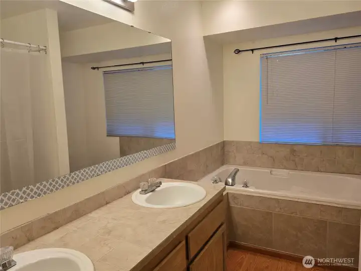 5 piece primary bathroom.