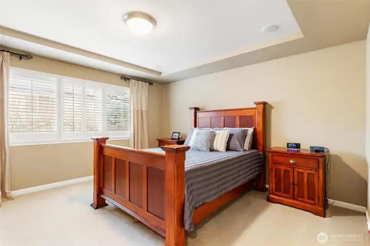 Primary bedroom, surround sound speakers, tray ceiling, 5-piece bath and a large walk-in closet. Custom shutters with a large window facing the rear yard.