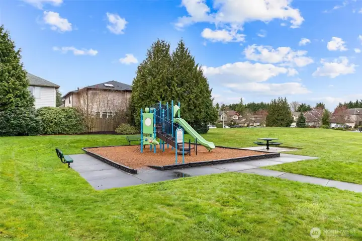 Webster's Pond Park and Playfield