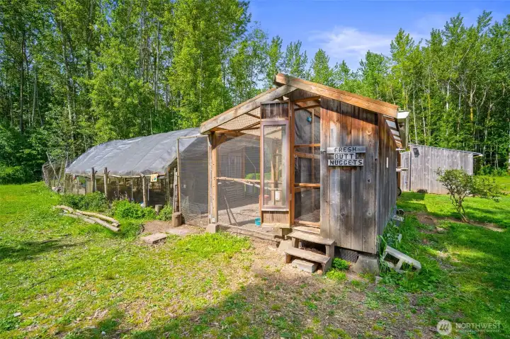 Massive, enclosed chicken coop space.