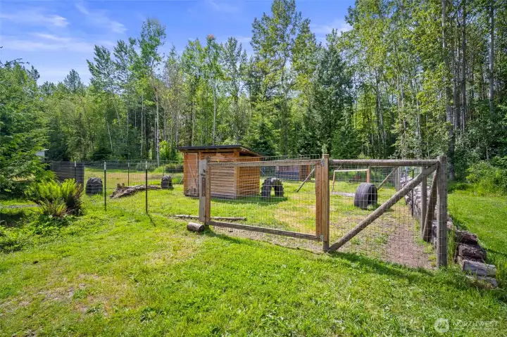 Large fenced space for the goats.
