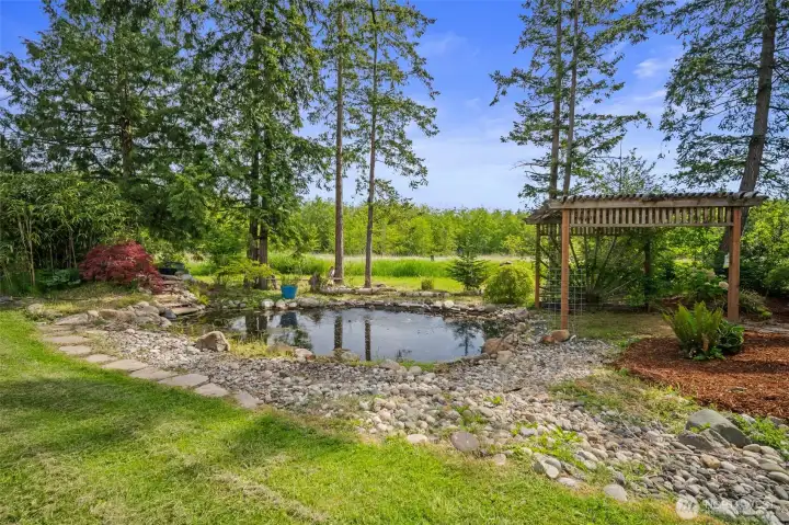 Pond from the front yard.