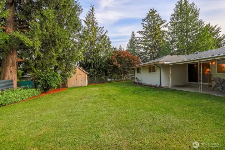 large flat backyard