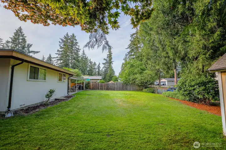 north facing view of back yard