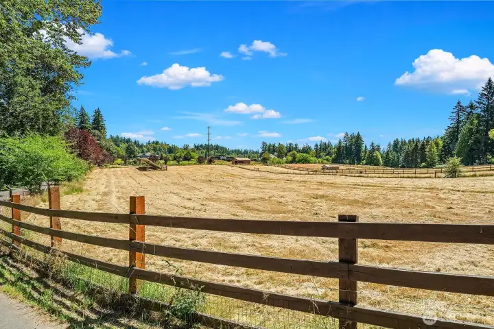 Pasture from the Driveway up to the House