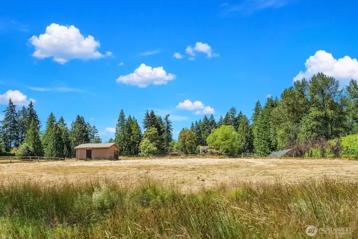 Pasture with Shed to Protect Animals from the Environment
