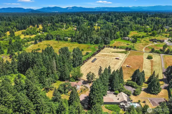 Aerial View of Property with Neighborhood, looking towards the northeast.