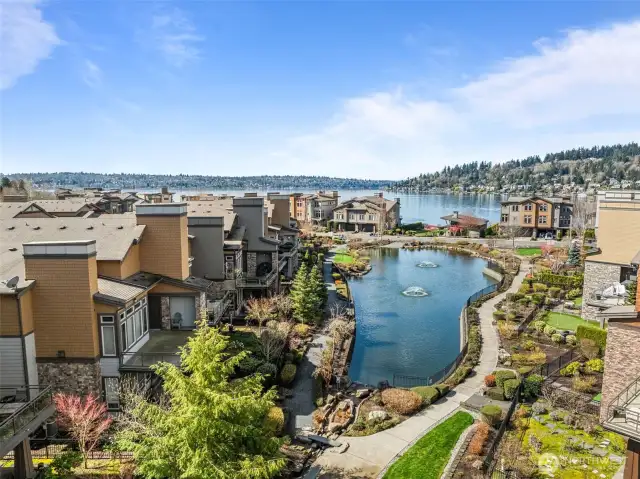 Mill Pond and Lake Washington View!