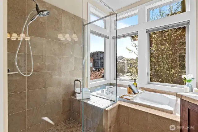 Primary Shower and Soaking Tub.