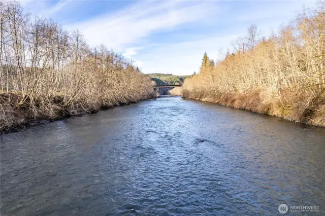 Watch the fish jump or go rafting/kayaking.