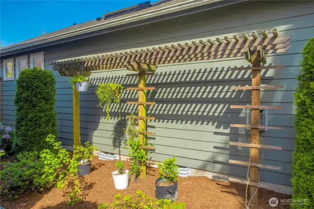 Trellis for hanging plant baskets.